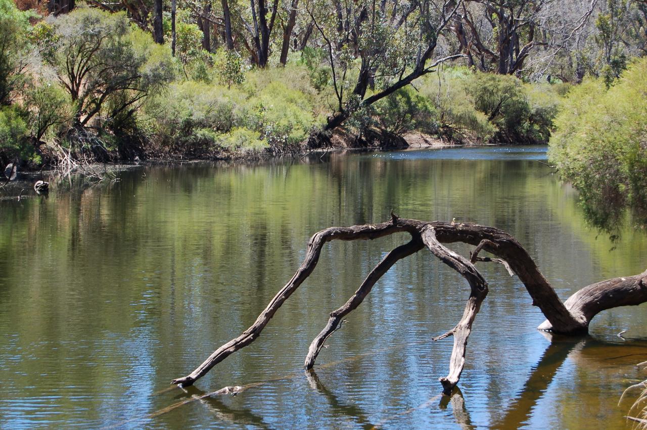 Beyonderup Falls Adult Retreat Nannup Værelse billede
